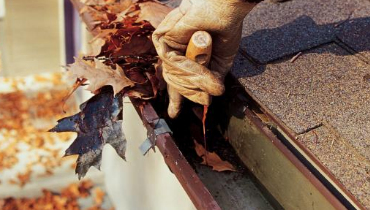 gutter cleaning fall clean up services