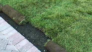 Grass sod installation and grass replacement services kentucky bluegrass sod